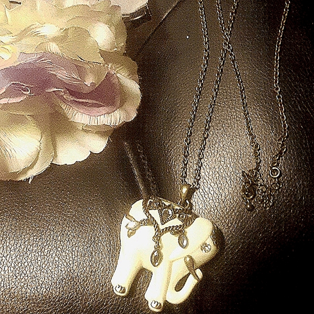 Big elephant charm necklace